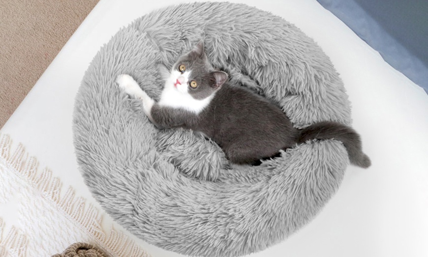 Image 2: Panier rond pour chien et chat