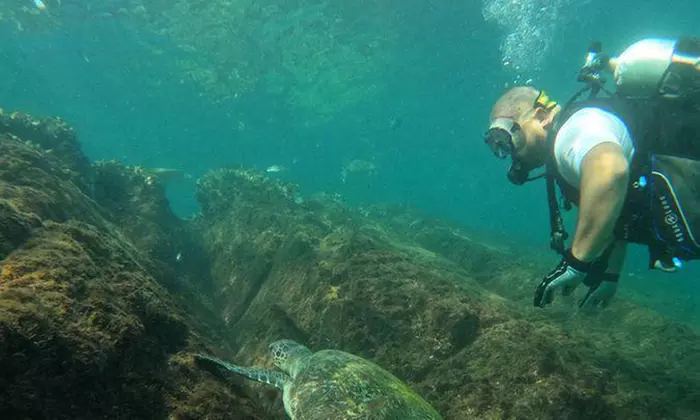 Embark On Adventure: Try Dive, Snorkeling Trip and Boat Trip