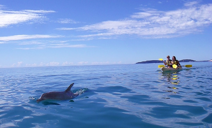 Image 23: Dolphin-View Kayak Tour or Private Day Tour to Double Island Point