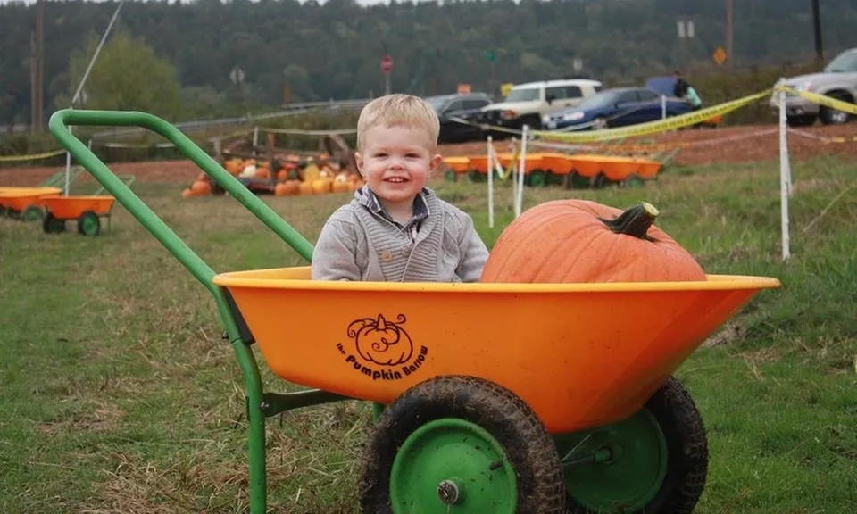 Get Lost in the Corn Maze and Relax by the Communal Fire Pits