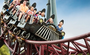 Entreeticket pretpark Slagharen