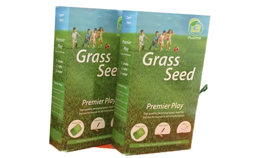 Image 3: Multi-Purpose Rye Grass Seeds