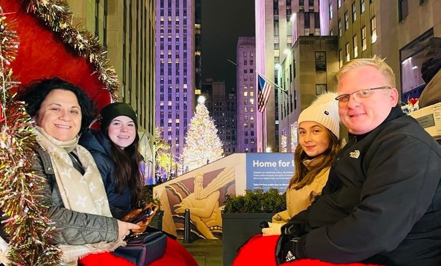 Image 2: Private Christmas Lights Carriage Ride – New York City
