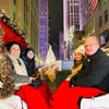 Image 2: Private Christmas Lights Carriage Ride – New York City
