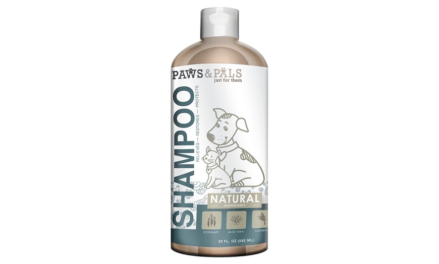 100% Organic Oatmeal Dog Conditioning Shampoo (20 oz.) | Groupon