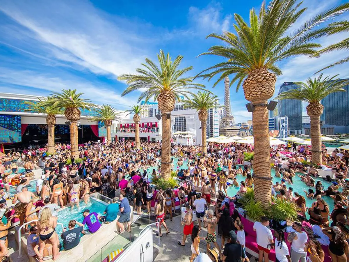 EDM Pool Craw & Party Bus; Ft. Tiesto, Kaskade, Zedd (Through 12/31/24) - Primary Image