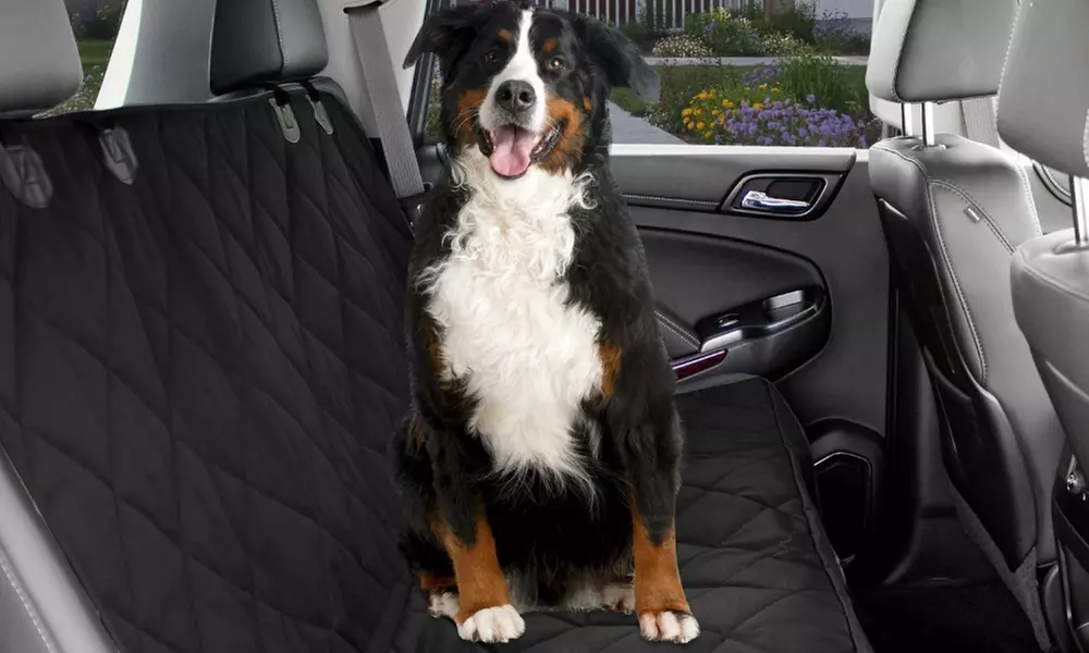 Telo coprisedile da auto, con dimensioni pari a 140 x 110 cm - Primary Image