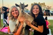 1 Public Session of Goat Yoga or 1-Hour Private Event (Up to 30 People) (Up to 20% Off) - Second Medium