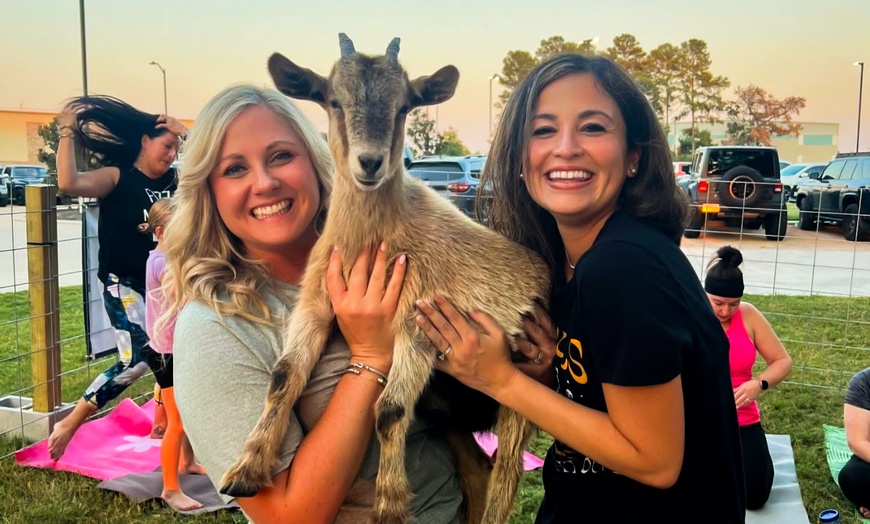 Image 5: 1 Public Session of Goat Yoga or 1-Hour Private Event-Up to 30 People