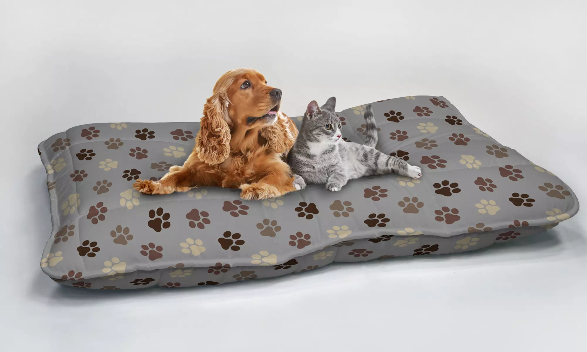 1, 2 o 3 almohadas estampadas para perros y gatos - Primary Image