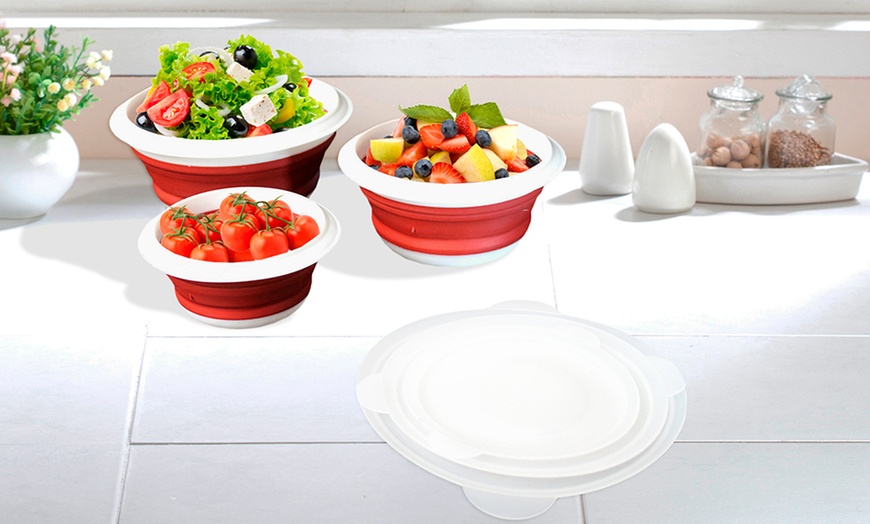 Image 1: PMS Collapsible Storage Bowls