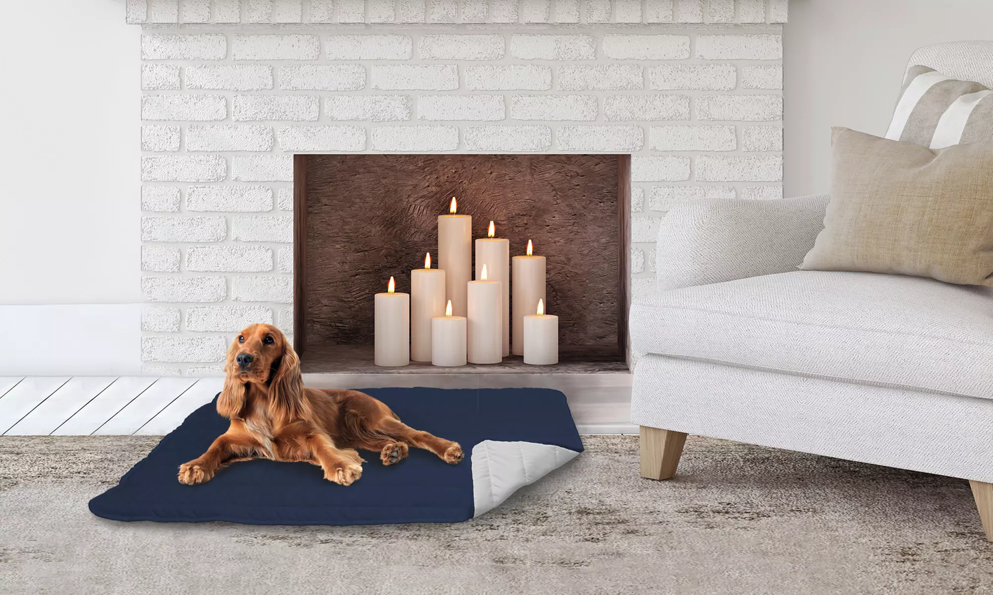 Tapis matelassé DATEX pour chien, double-face - Primary Image