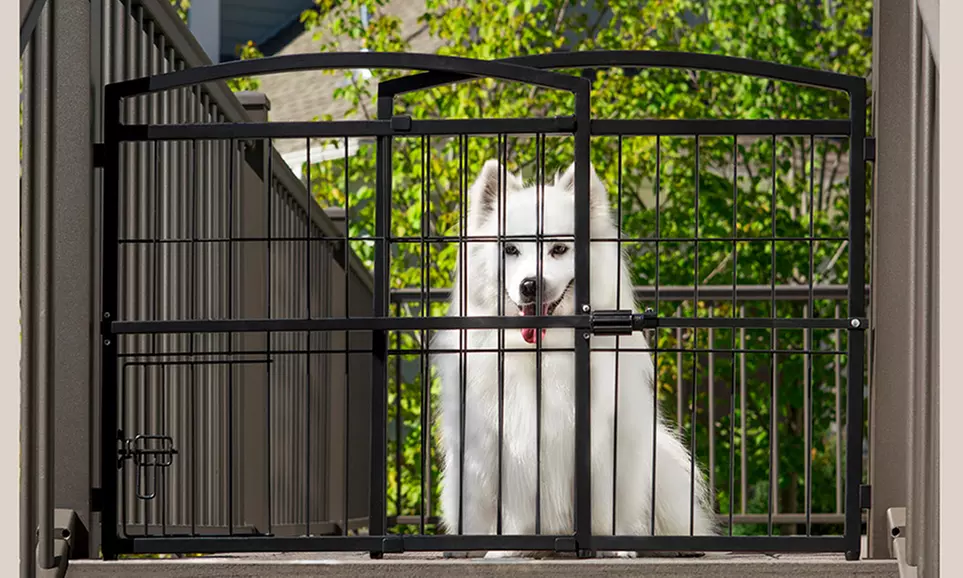 Carlson Weather-Resistant Outdoor Expandable Pet Gate - Second Medium