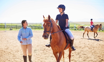 For one: one-hour private riding lesson; must be over 6, under 18s must be accompanied by an adult