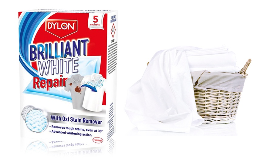 Image 1: Dylon Stain Remover Sachets