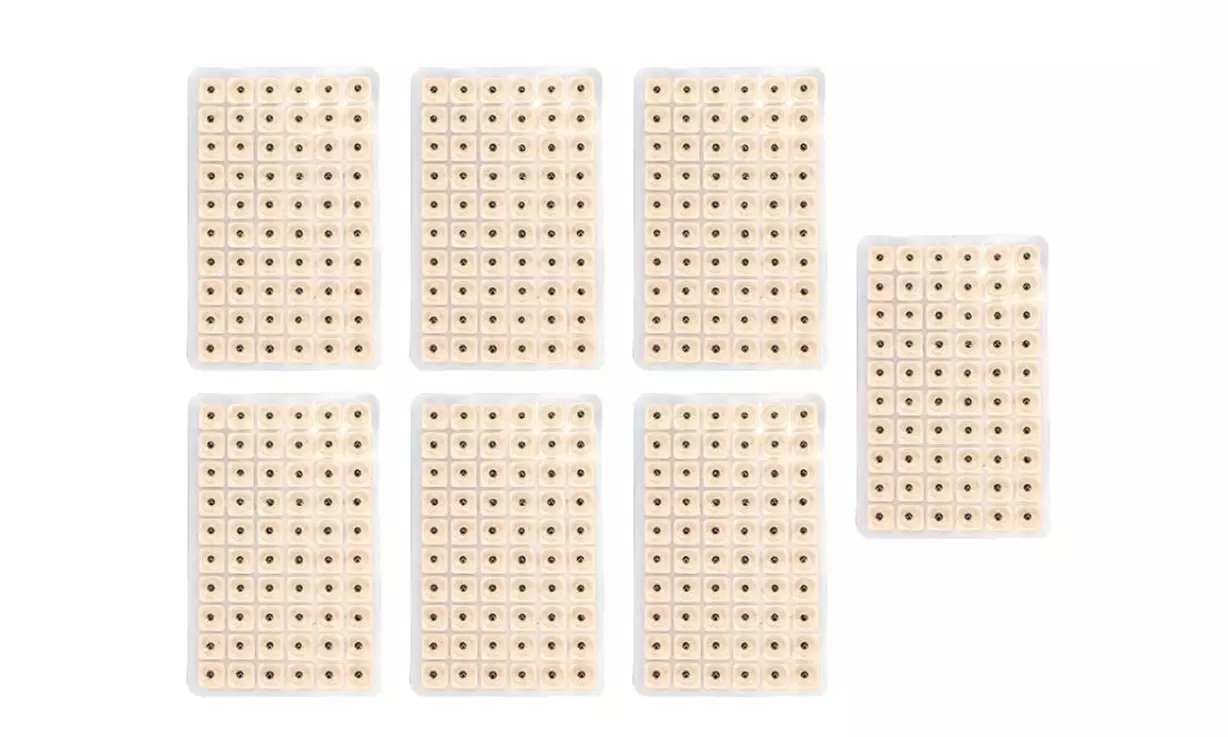 Bis zu 10x Acusoothe Ohrensamen für Akupressur und Akupunktur-Therapie