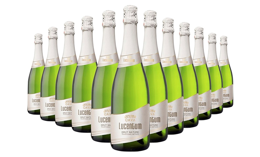 Image 1: Spumante Cava Lucentum Brut Nature