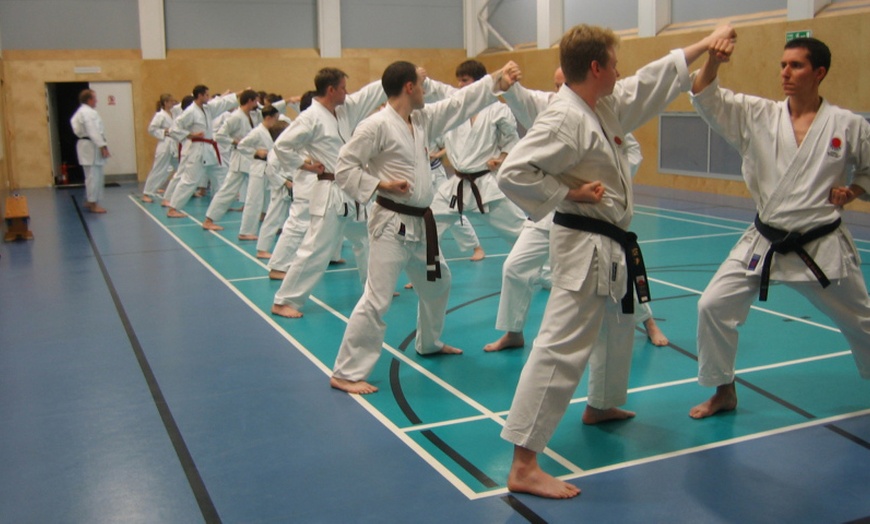 Image 4: Two Karate Classes