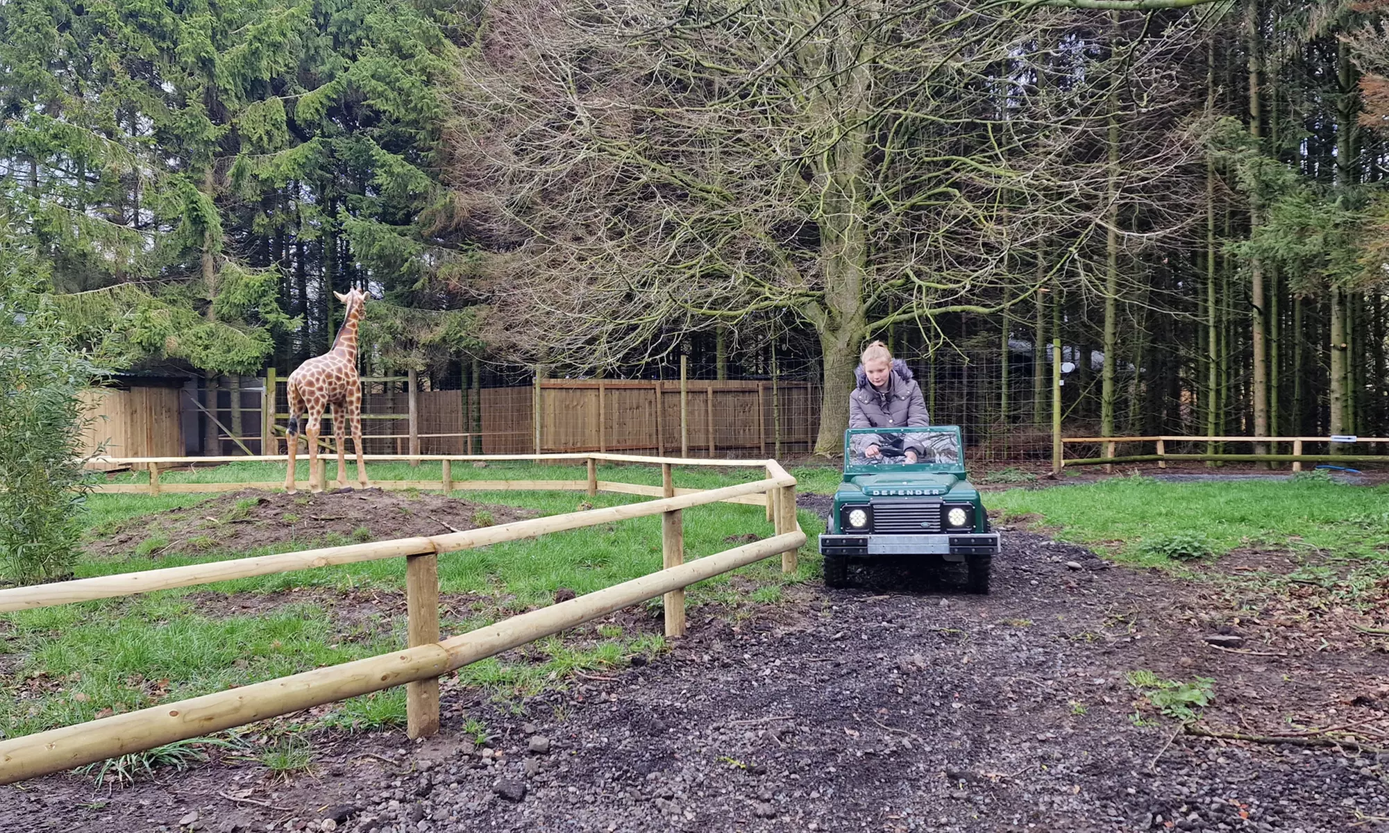 Enjoy Weekday, or Weekend Entry at Hoo Zoo and Dinosaur World