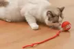 Interactive Electric Cat Toy - Second Medium