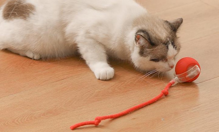 Image 3: Interactive Electric Cat Toy