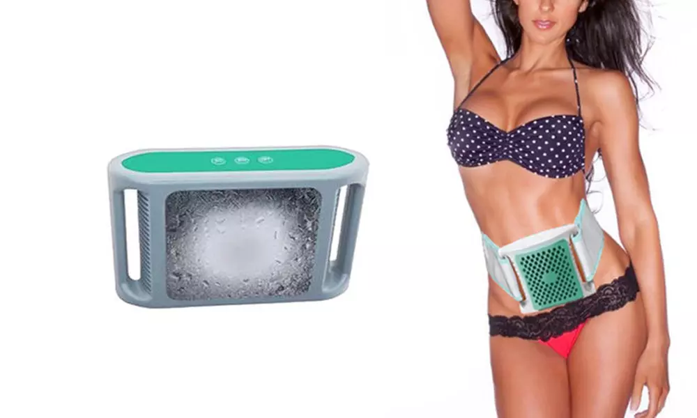 Cryo-Fat Freezer Sculpture and Cooling System - Primary Image