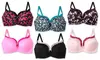 Plus-Size Floral and Lace Bras (6-Pack)