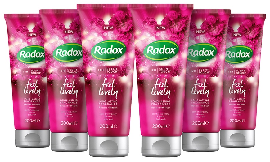 Image 7: Radox Body Wash Six-Pack