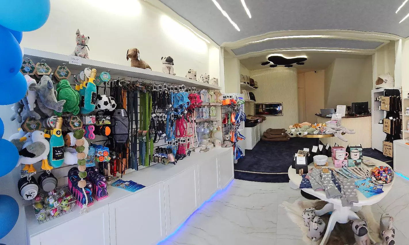 Full Dog Groom with Wash, Trim & Blow Dry for Long-Haired Breeds