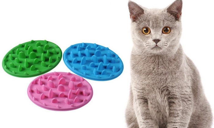 Interactive Pet Slow Feeder Groupon