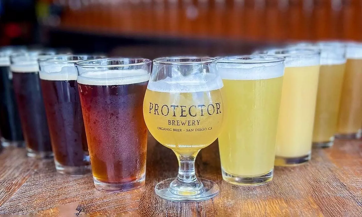 One Pint and To- Go 4 Pack or 2 Pints and To-Go 4 Pack at Craft Beer at Protector Brewery ( Up to 35% Off) - Primary Image