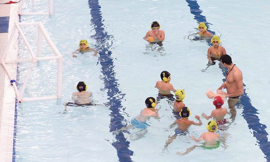 Image 2: One, five or ten Water polo sessions at Warriors Sports