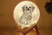 Personalize Your Room with Custom Moon Lamps with One or Two Pieces at Justlying (Up to 91%Off) - Image 2