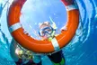 Cairns: One Child, Adult or One Family Ticket for a Full Day Reef Cruise and Lunch with Down Under Cruise and Dive - Second Medium