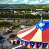 Image 8: One Grandstand Ticket to Circus Vegas American Circus