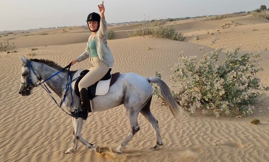 Image 1: One-Hour Desert Horse Riding Experience with M3 Stables