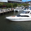 Image 4: Enjoy 4-Hour Yacht Rental for Up To 13 People with Your Group