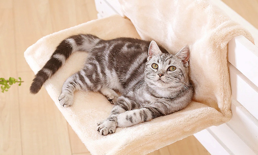 Image 1: Cat Radiator Bed