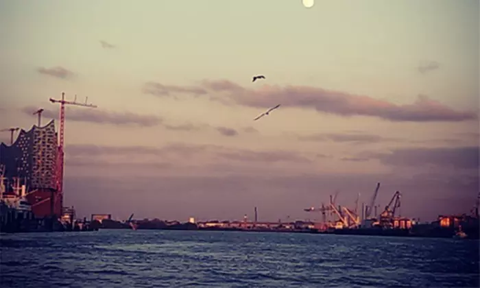 Fischmarkt Tour für 1-4 Personen