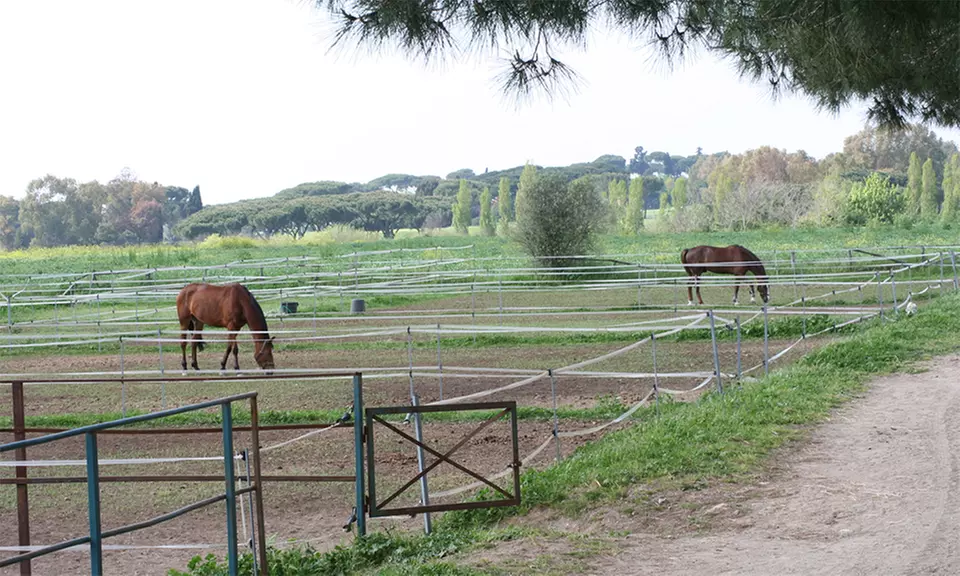 4 lezioni equitazione o passeggiate per una o 2 persone al Circolo Acqua Santa, Parco Appia Antica (sconto fino a 71%) - Image 7