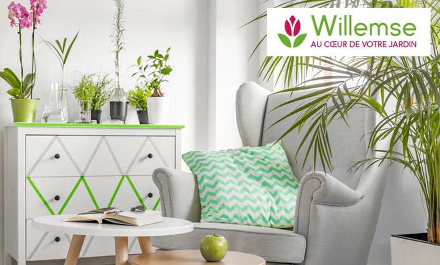 Willemse France à - Paris | Groupon