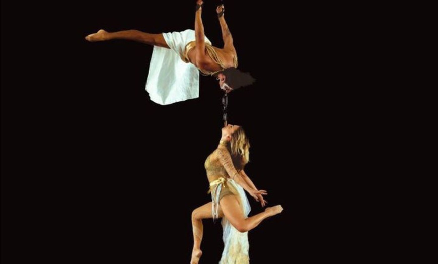 Image 4: Ticket für spektakuläre Shows & Musik: 12. Krefelder Weihnachtscircus