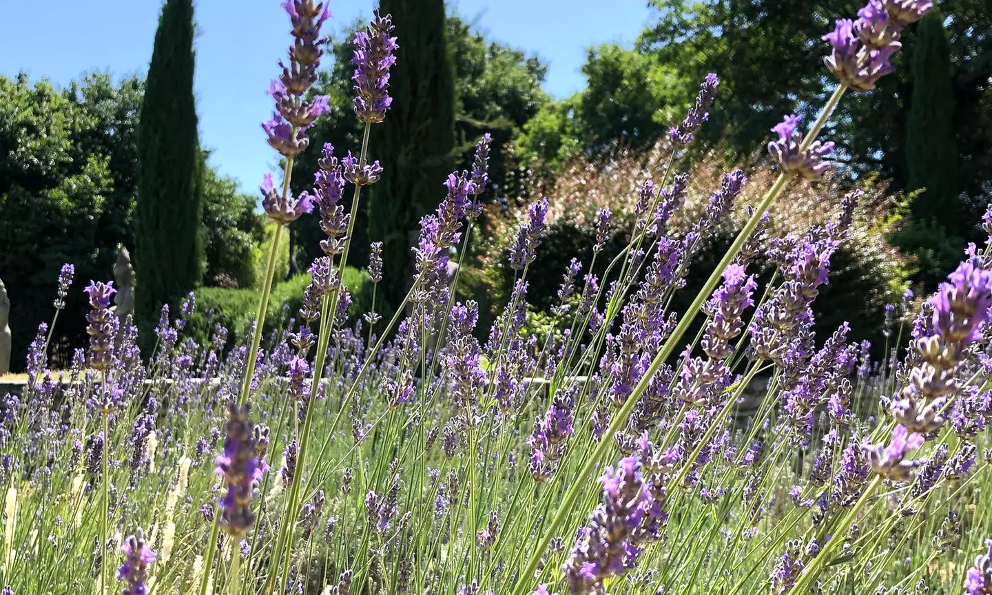 Bouches-du-Rhône : 1 ou 2 nuits avec petit-déjeuner et menu découverte