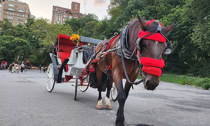 Up to 21% Off on Horse Drawn Carriage Ride at NYC Horse and Carriage Ride - Primary Image