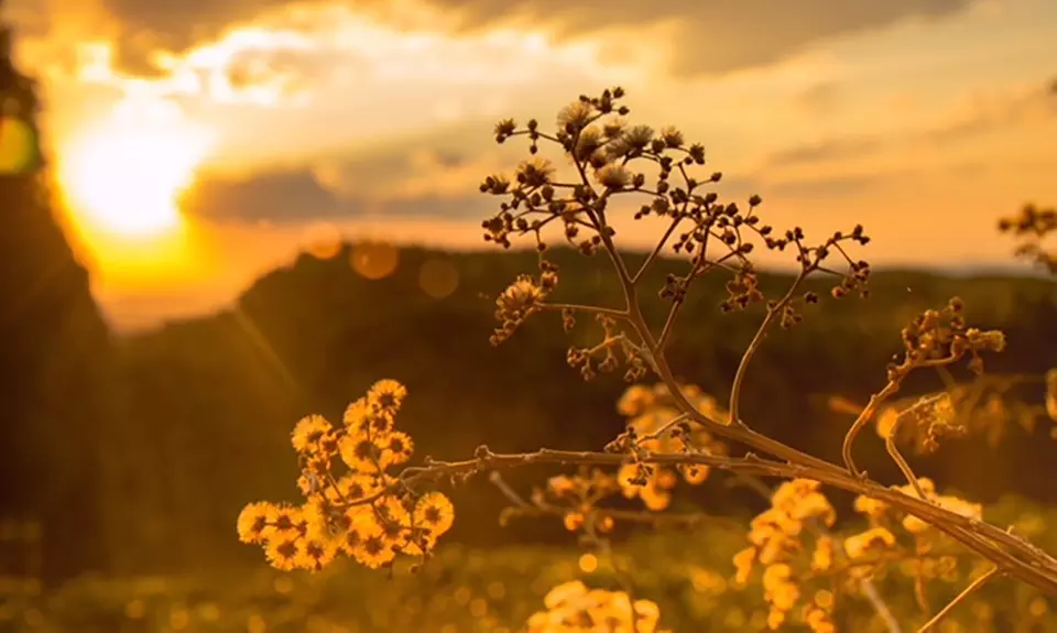 Meditation & Mindfulness Workshop