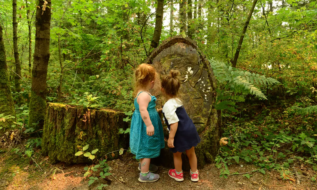 What to expect image