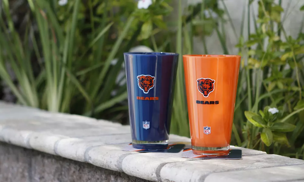 Duckhouse NFL 20-Ounce Acrylic Insulated Tumblers (2-Pack) - Primary Image