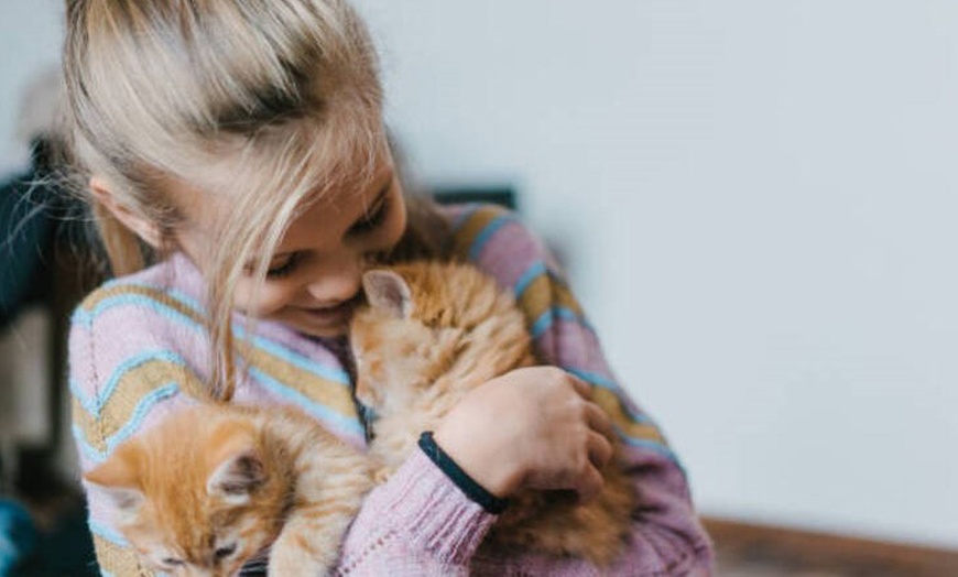 Image 3: Una tarde felina: acceso al salón para 2 o 4 personas con consumición