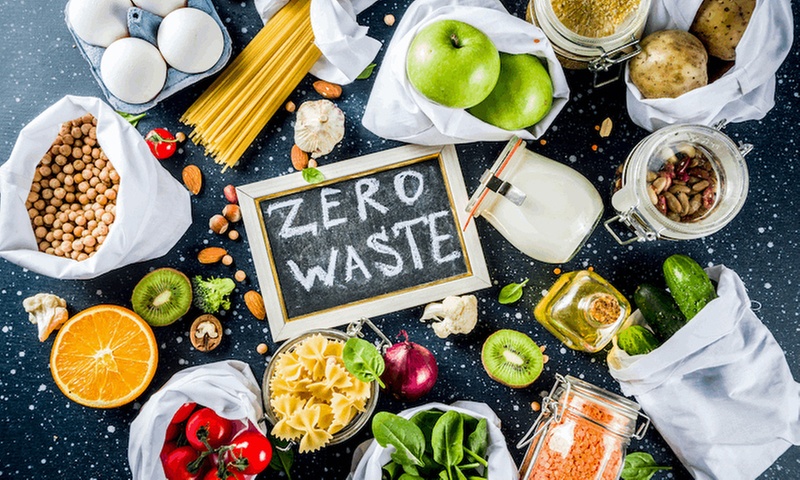 Sustainable Living Online Course for a Healthier Lifestyle