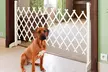 Barrière extensible pour animaux - Second Medium